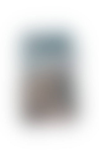 https://www.orion.de/assets/product-images/vhede/product-zoom-image-blur-abo/05437300000_verp.jpg