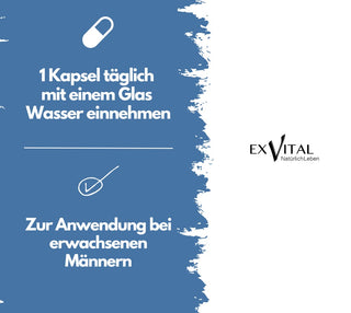 https://www.orion.de/assets/product-images/vhesoft/product-zoom-image/06265700000_nor_d.jpg