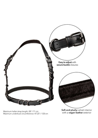 CalExotics Euphoria Halter Buckle Harness Plus Brustgeschirr