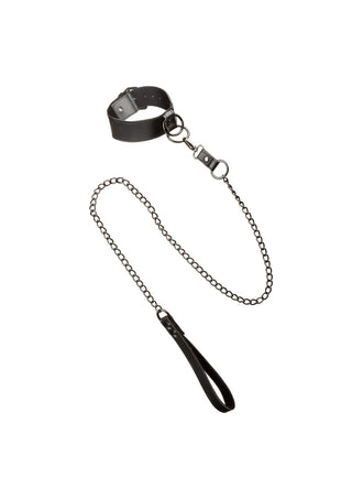 Calexotics Euphoria Collection Collar with chain leash