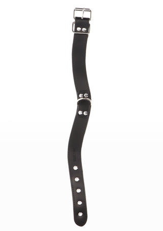 Elegant D-Ring Collar Halsband von TABOOM