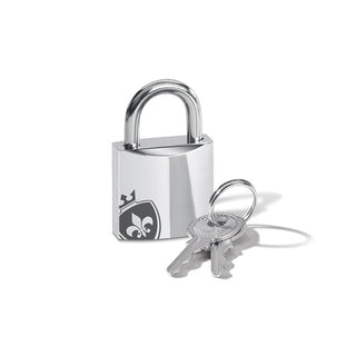 https://cdn.shopify.com/s/files/1/0858/5759/9815/files/46620_PubicEnemyNo1_Metallschloss.jpg?v=1757066804