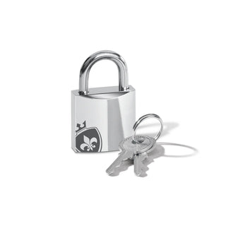 https://cdn.shopify.com/s/files/1/0858/5759/9815/files/46621_PubicEnemyNo2_MetallschlossKopie.webp?v=1757066936